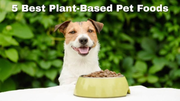 5 Best Plant-Based Pet Foods: Nutritious & Sustainable Choices for Dogs and Cats