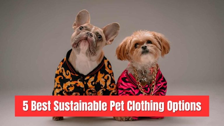 5 Best Sustainable Pet Clothing Options: Eco-Friendly Fashion for Your Furry Friends