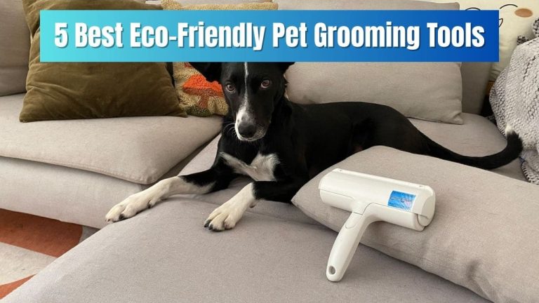 5 Best Eco-Friendly Pet Grooming Tools: Sustainable Choices for Conscious Pet Owners