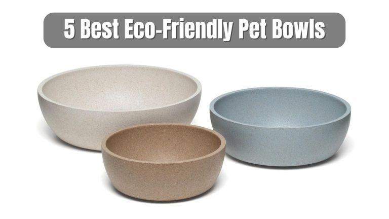 5 Best Eco-Friendly Pet Bowls for Sustainable Feeding