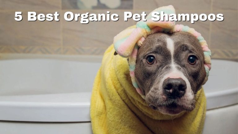 5 Best Organic Pet Shampoos